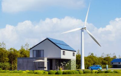 Ad Net Zero Sets New Guidelines For Sustainable Media Partners